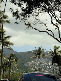 Amazing view down the street