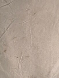Sheets were stained