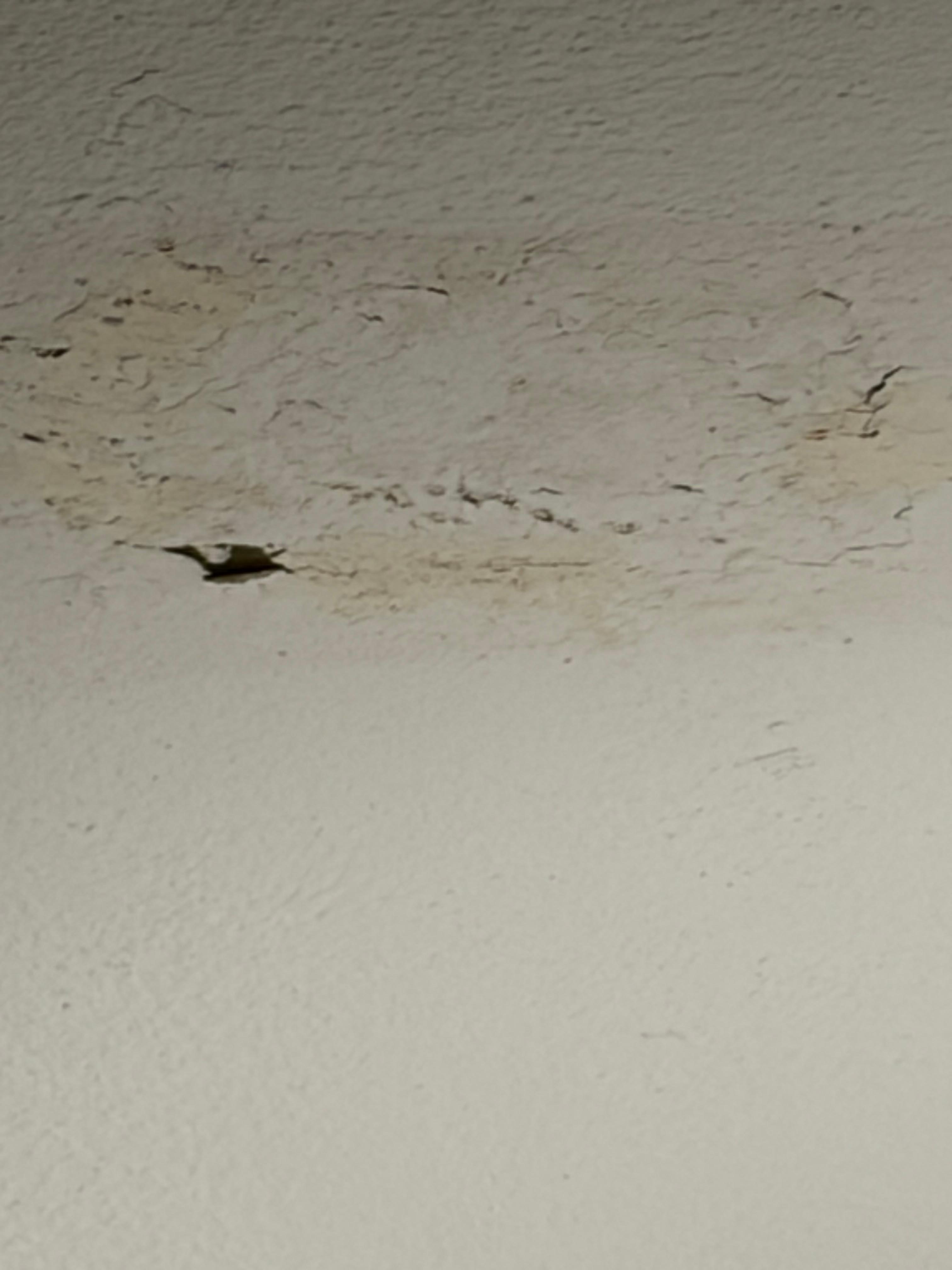 Mold/water damage 