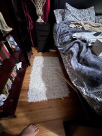 Do you see the broken boxspring with the wood hanging out?