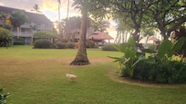 View from rear lanai in the morning at sunrise.