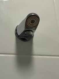 Shower head covered in bacteria