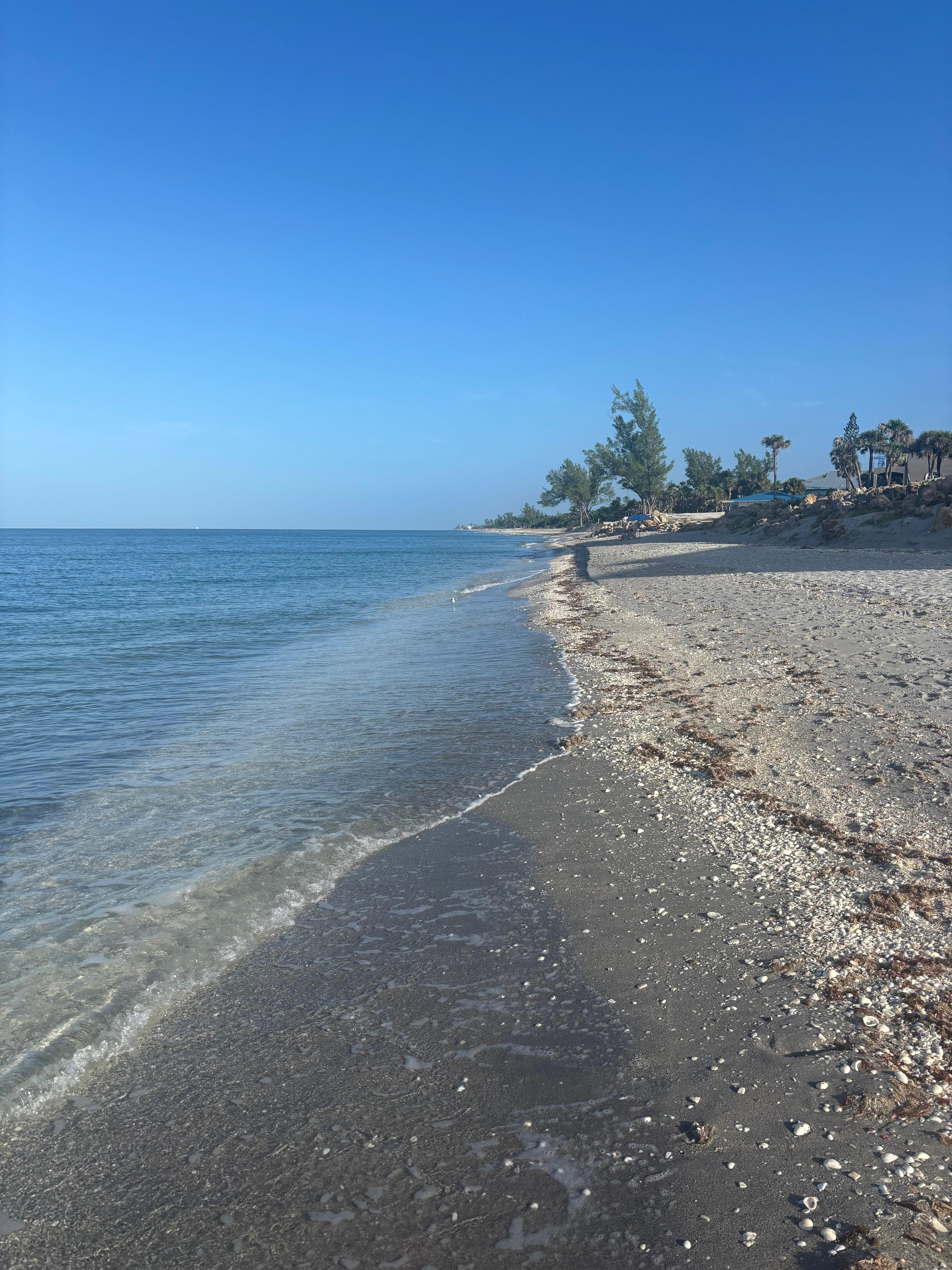 Beach across the street.