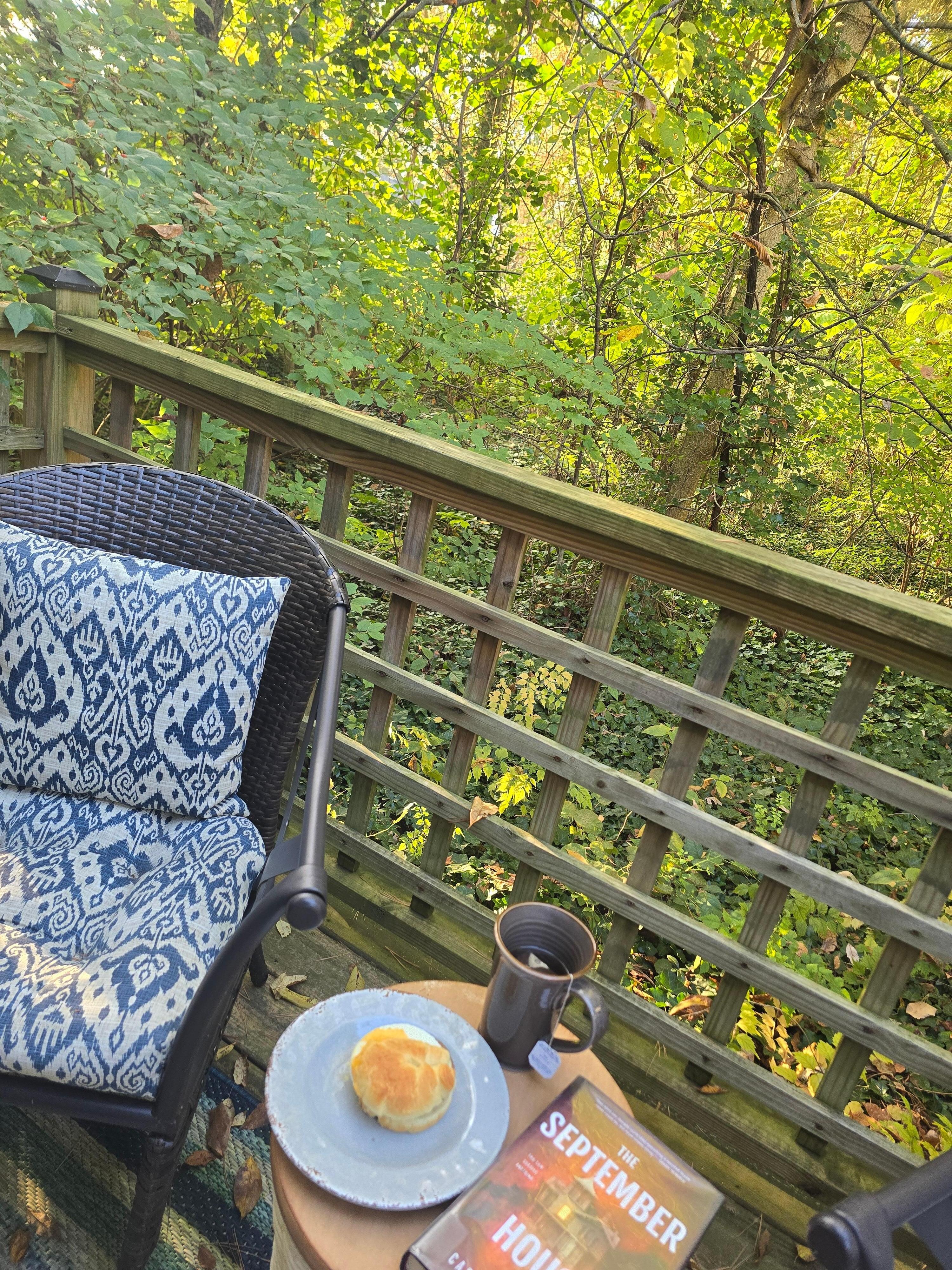 The little porch area by the bungalow's door. The squirrels were fun to watch!