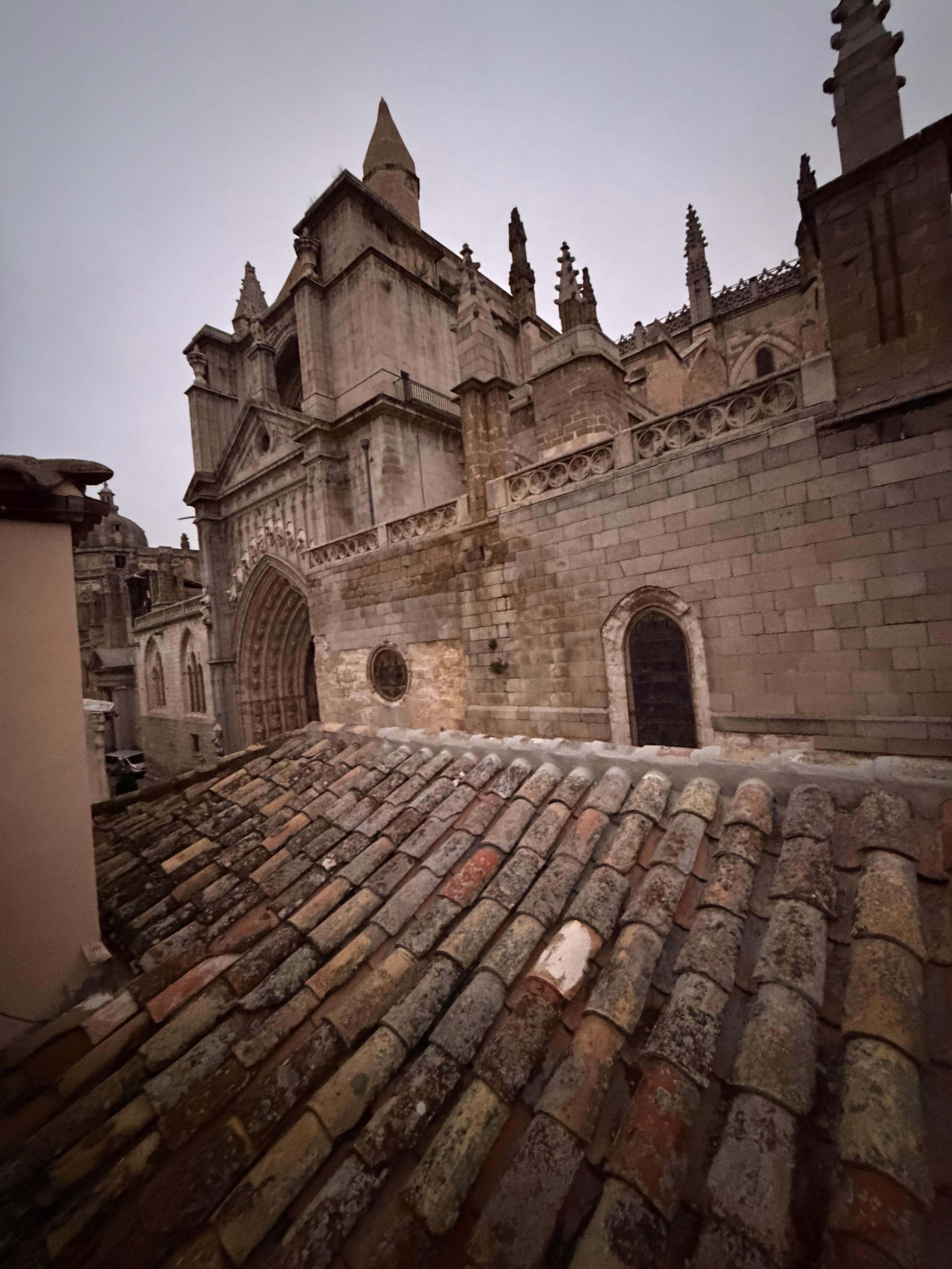 Rooftop view of cathedral 