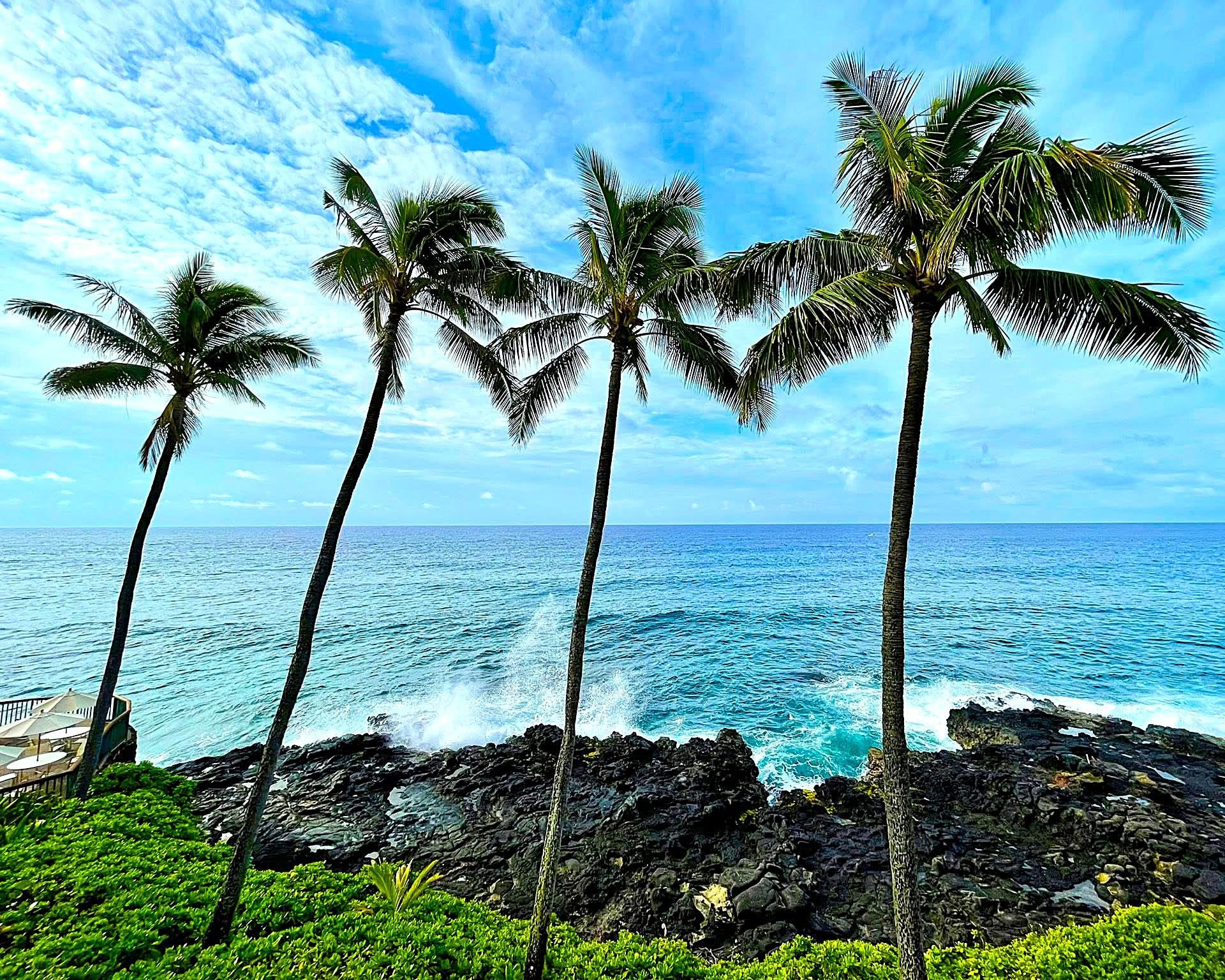 Such a great view from the lanai.