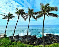 Such a great view from the lanai.