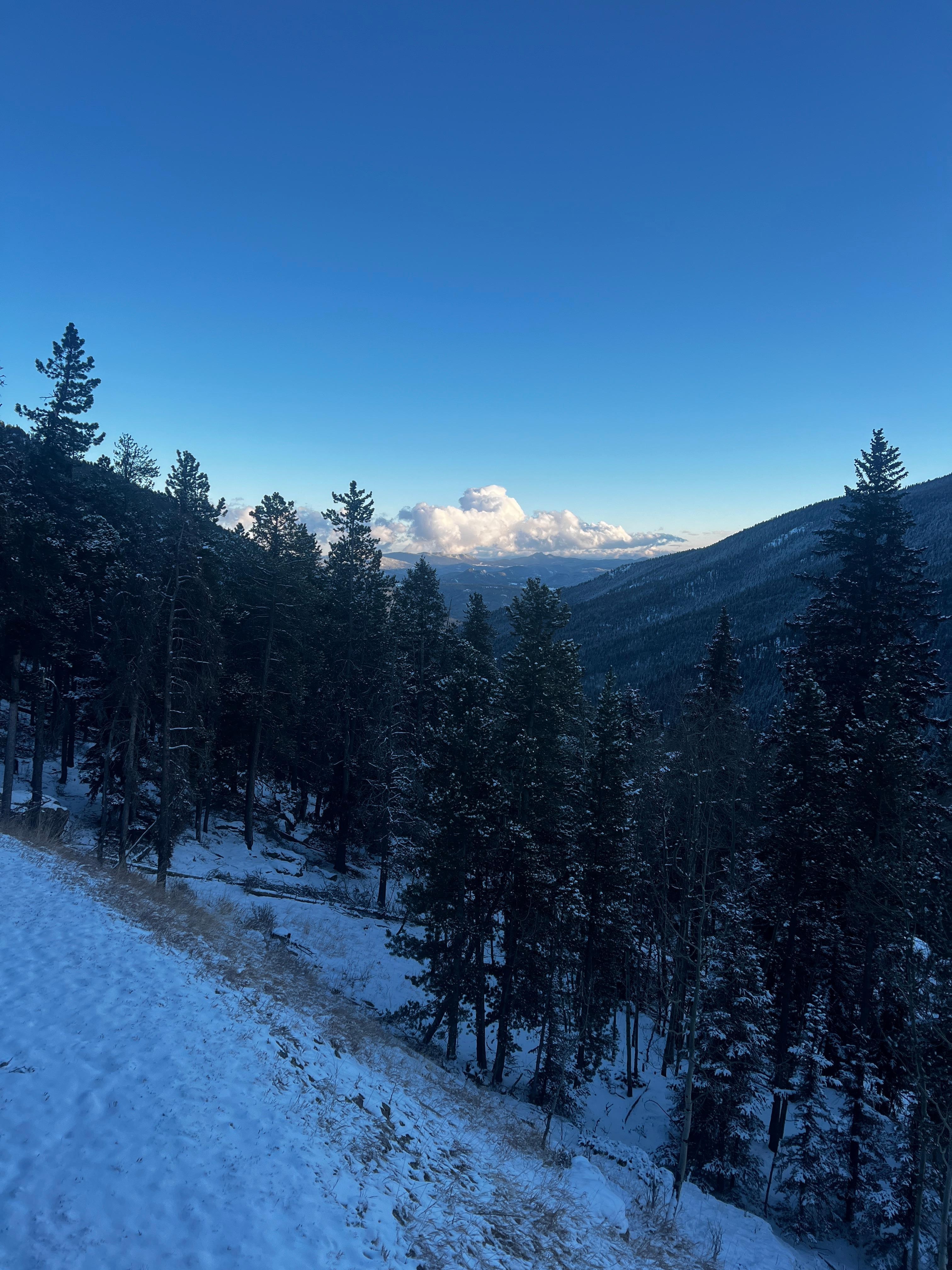 View from the spacious back deck looking down to valley 