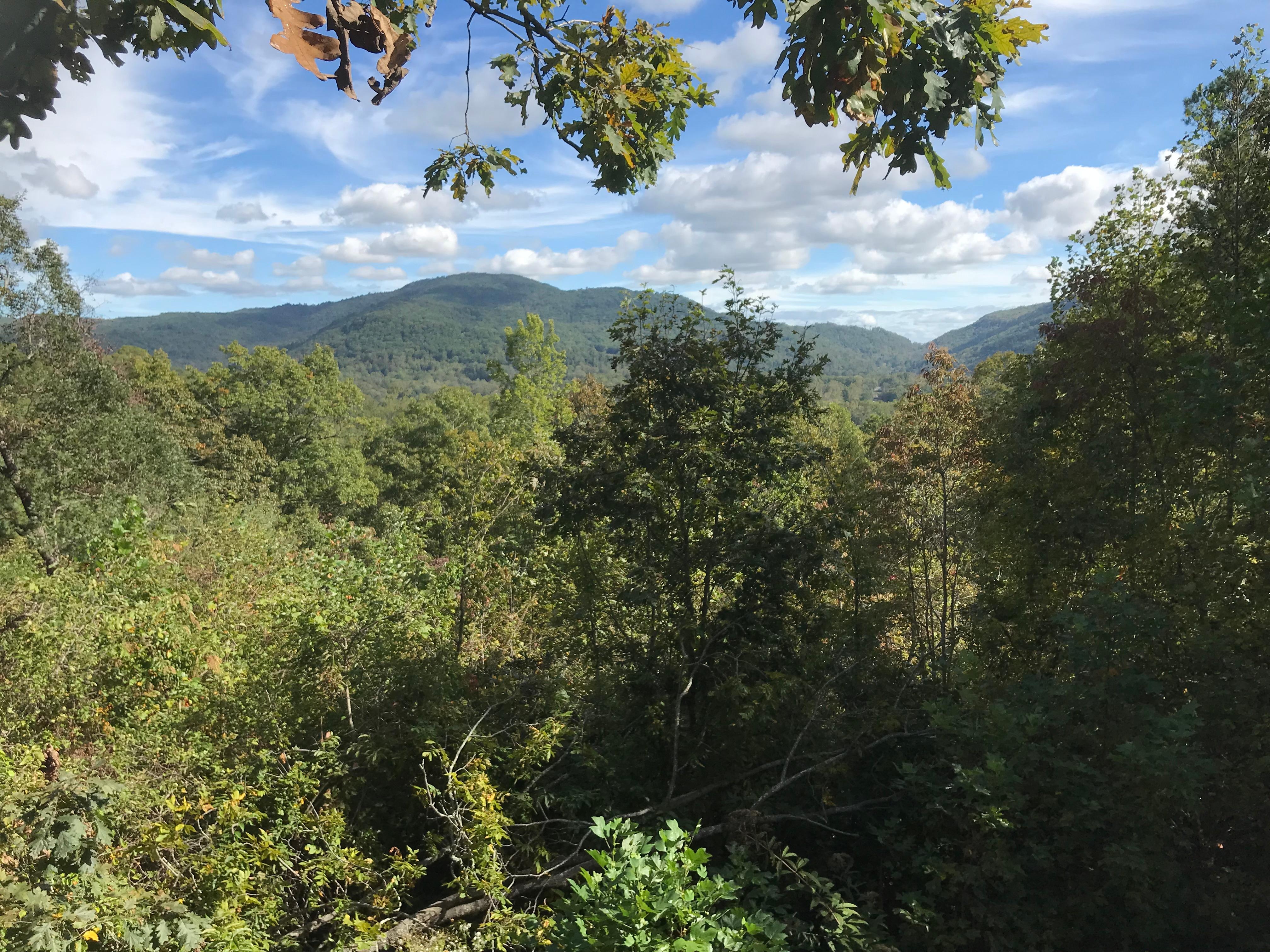 Glorious Mountain View!