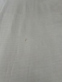 Questionable stain in the comforter sheet