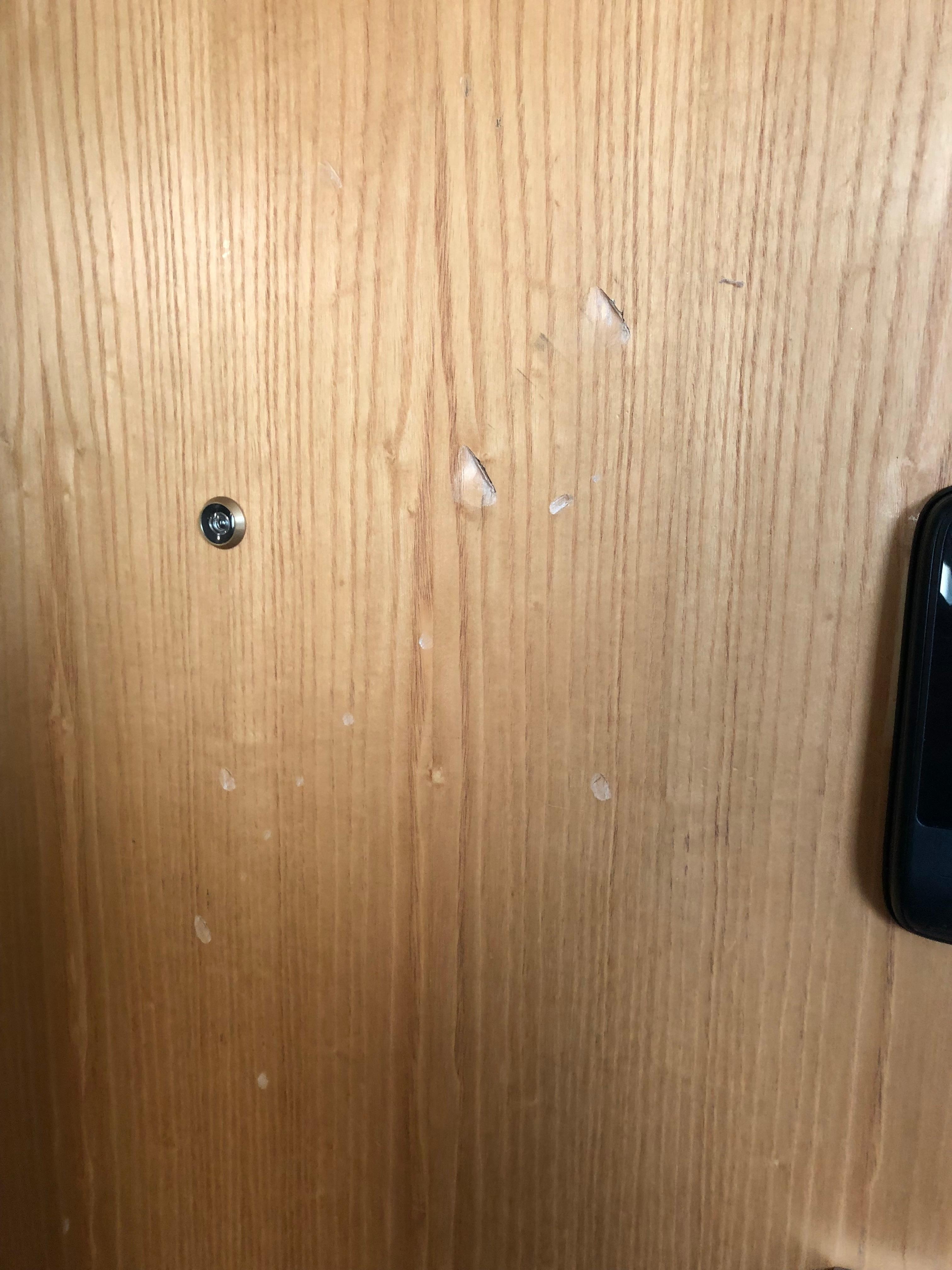 The gouged and battered door from someone attacking it with a hammer. 