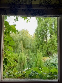 The room with a view!