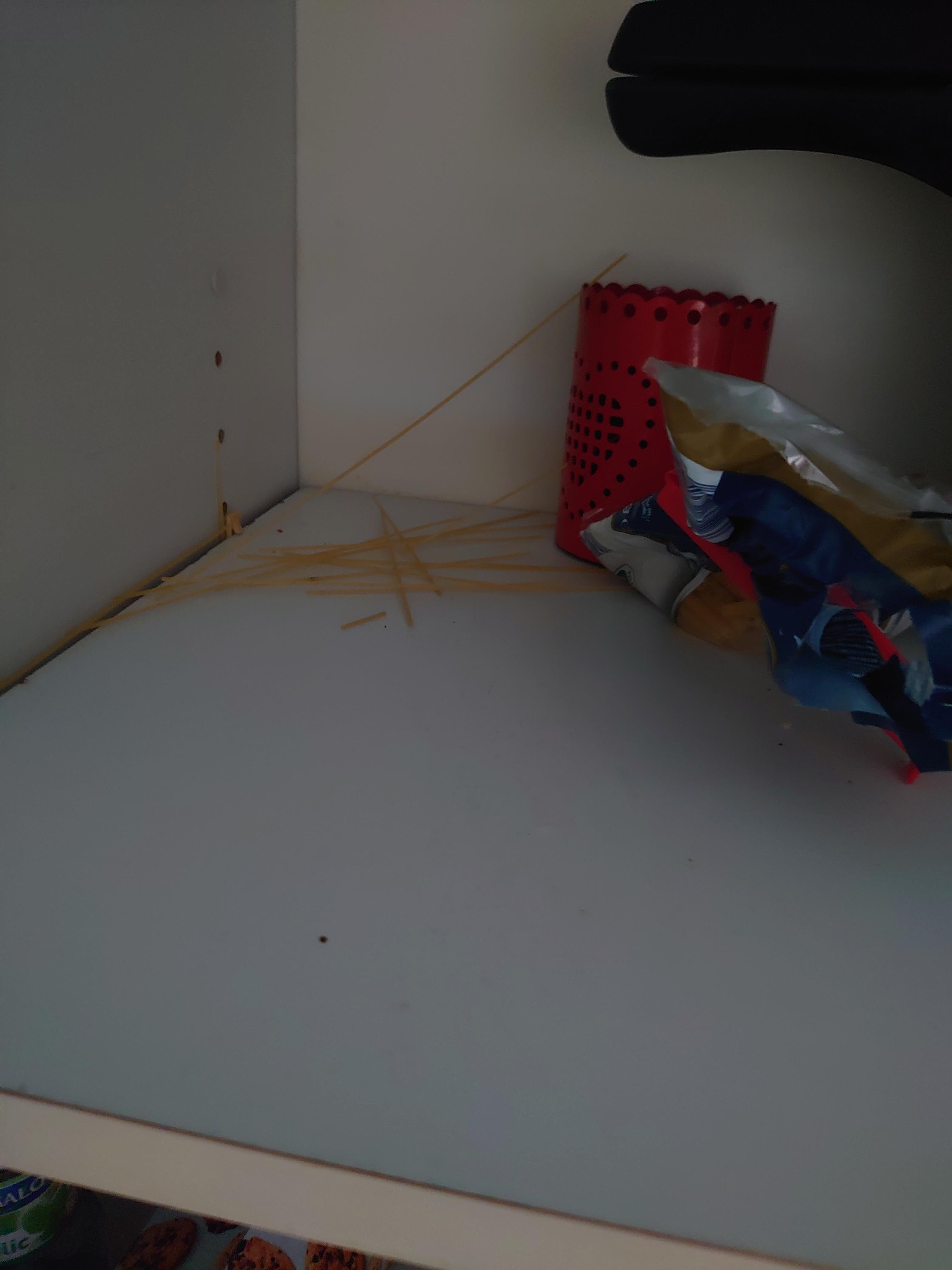 Spaghettis hérantes sans paquet 