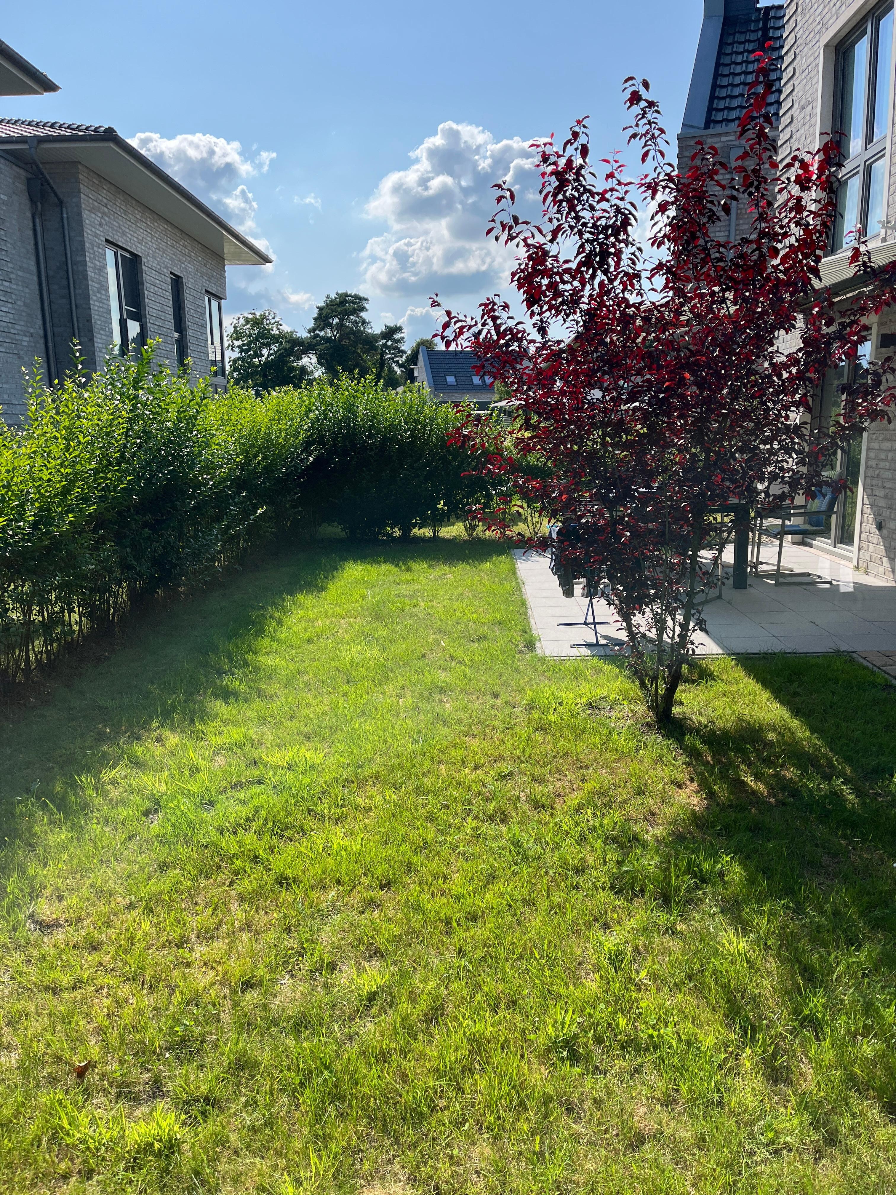 Schöner Aussenbereich