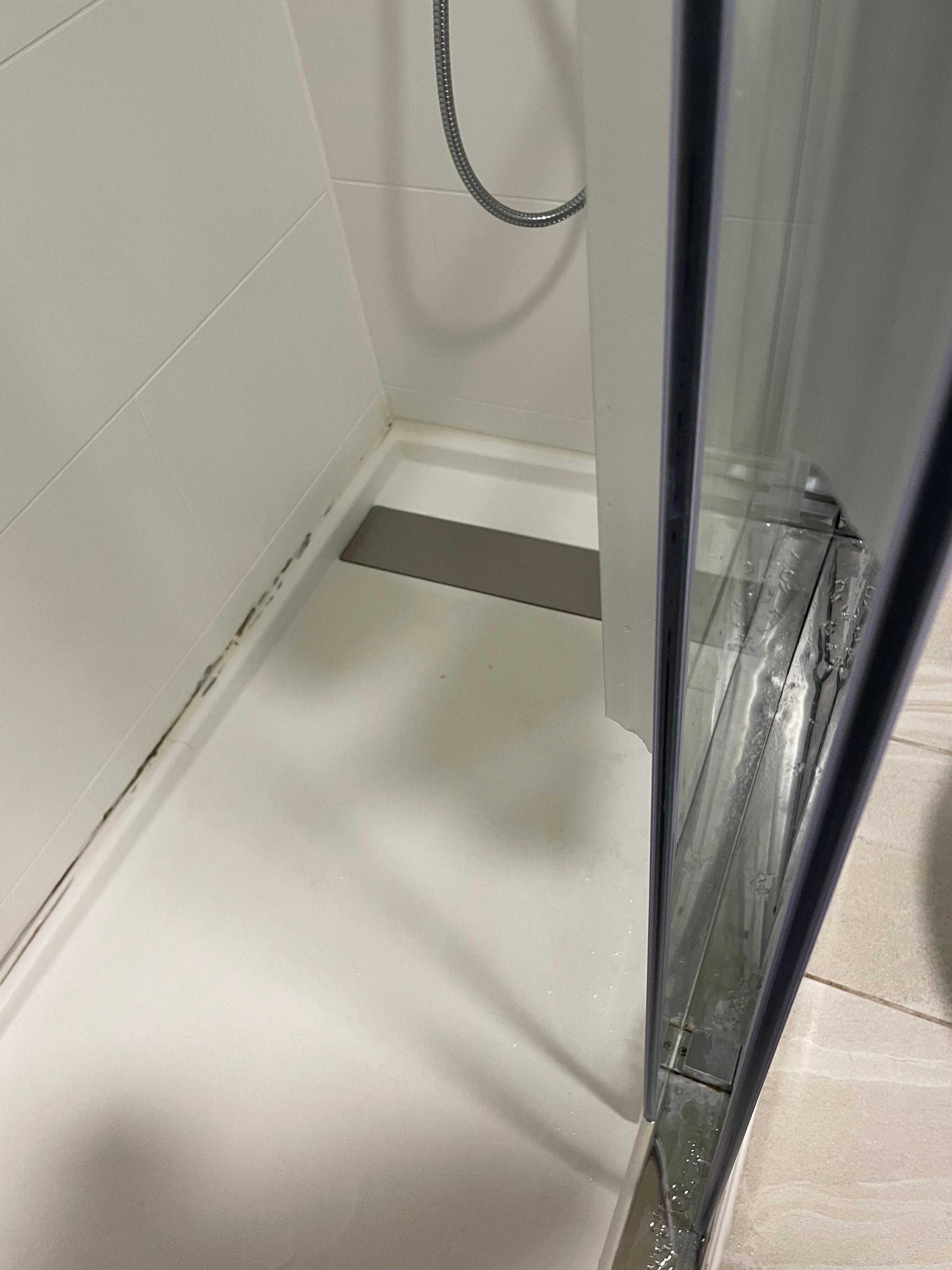 Shower door seal needs replacing