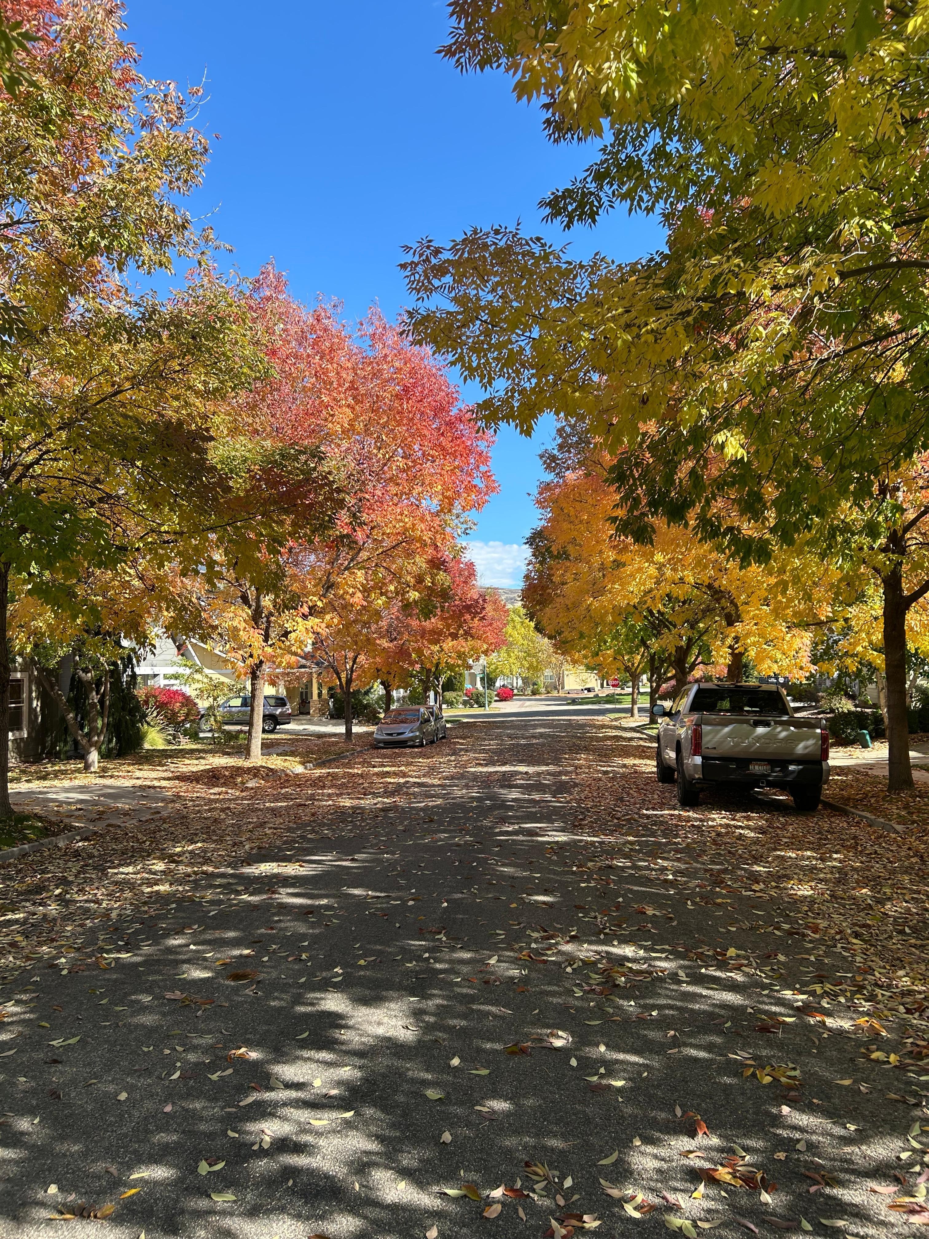 Beautiful fall colors.