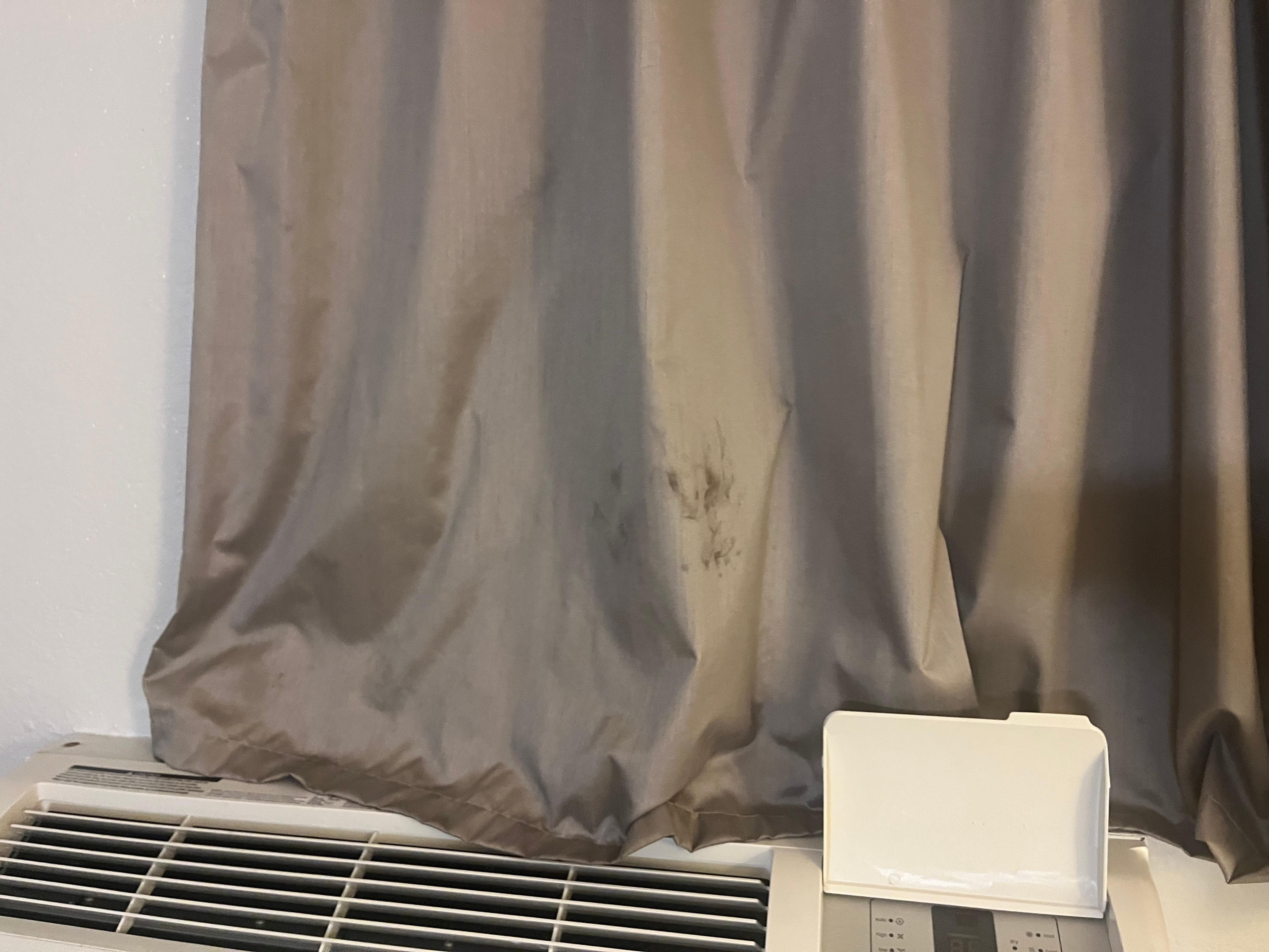 What the hell is that?