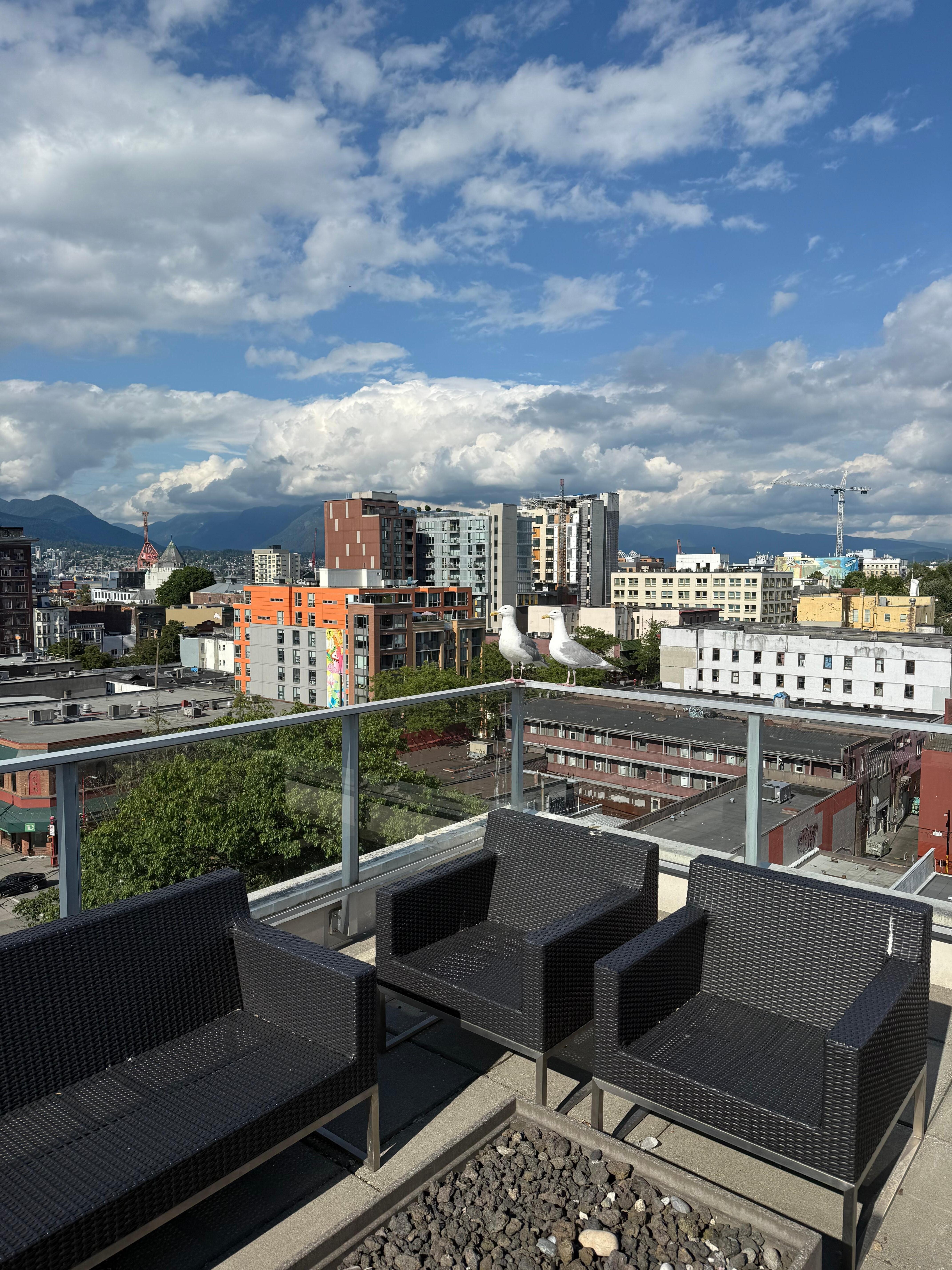 Sitting area on the roof (Floor 11)