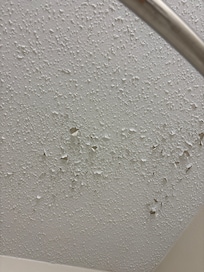 Shower ceiling flaking