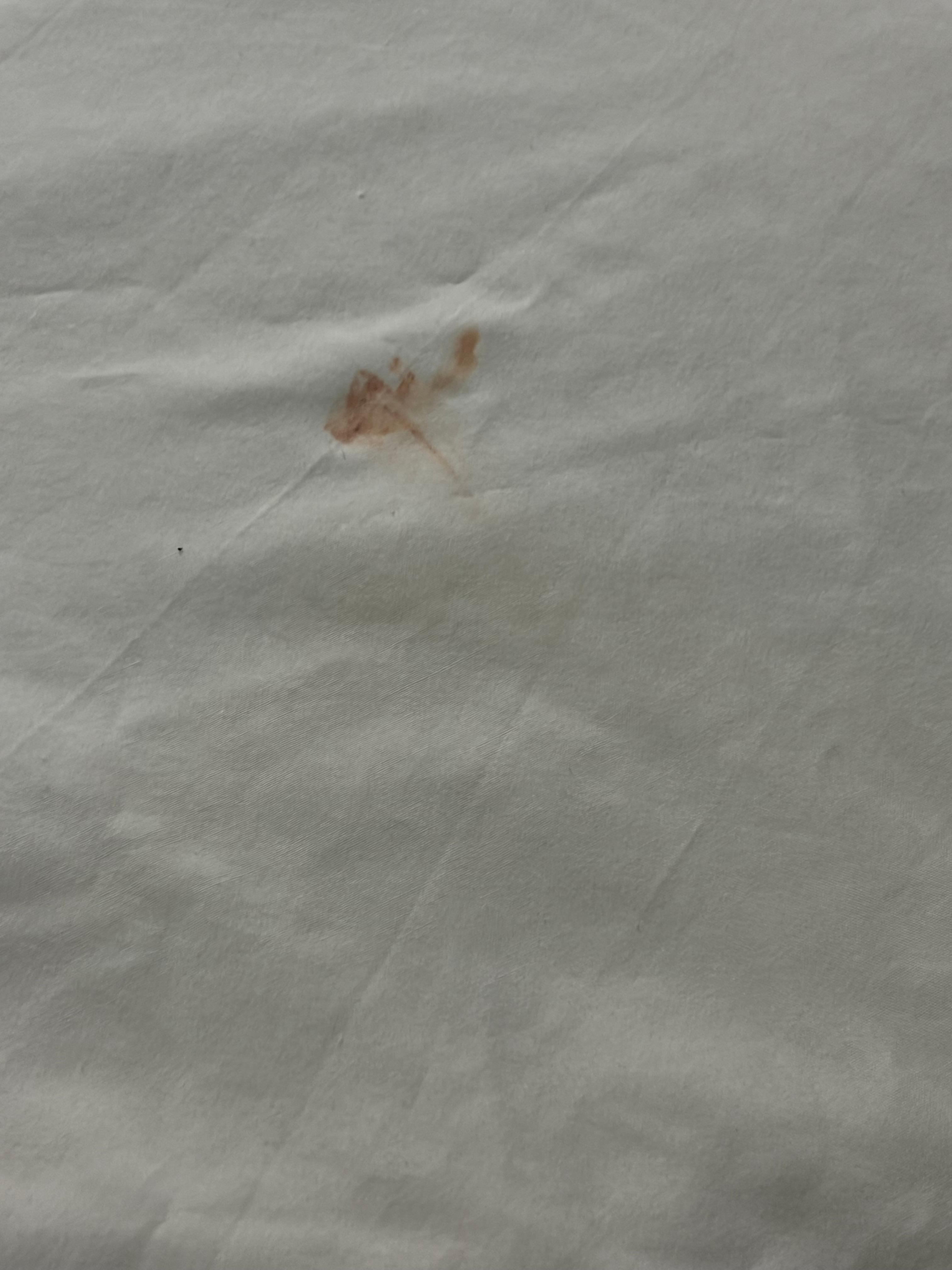 Room 120 blood stains on the right side bed, hidden under the 4 pillows. 