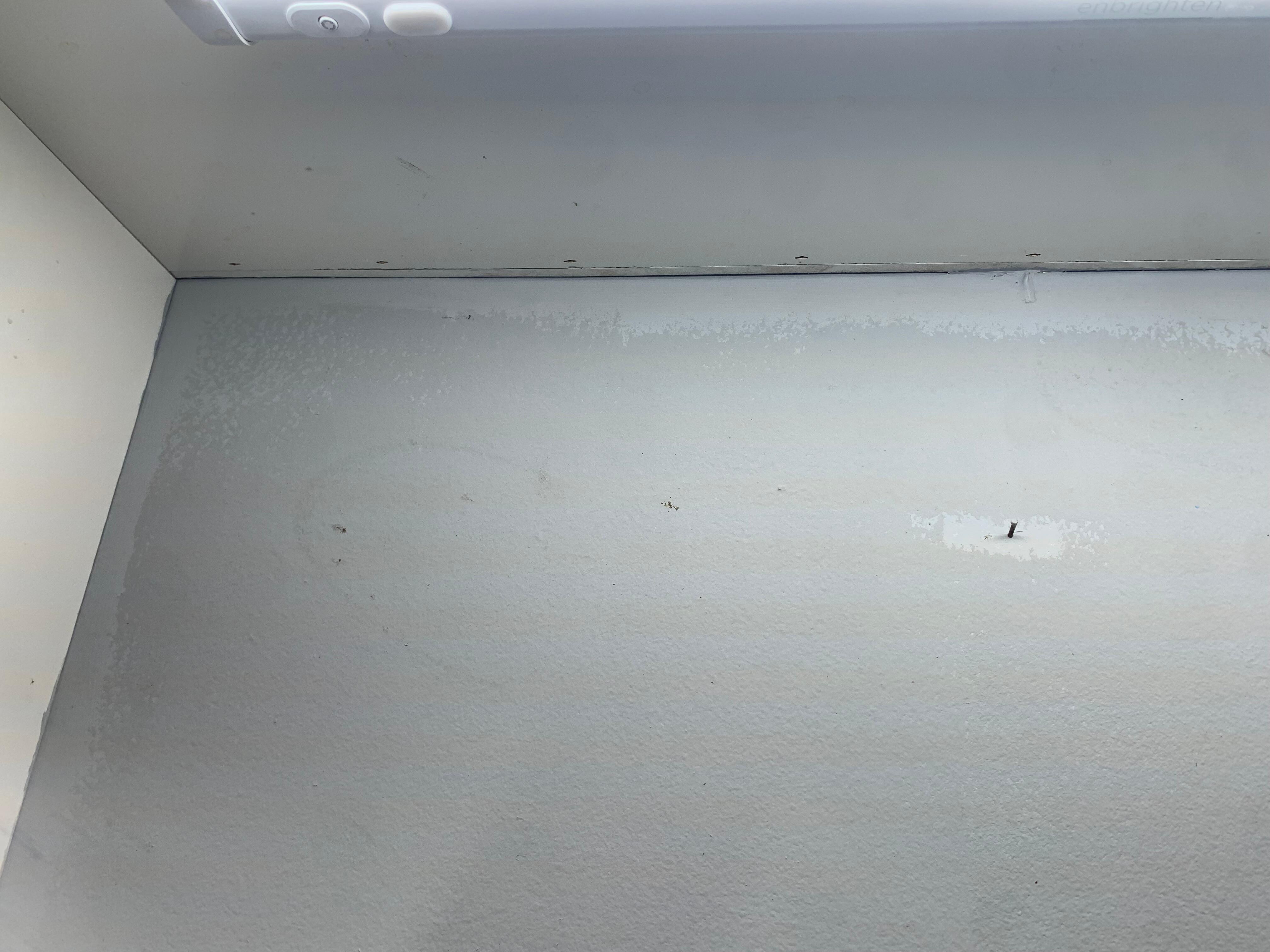 Bugs
