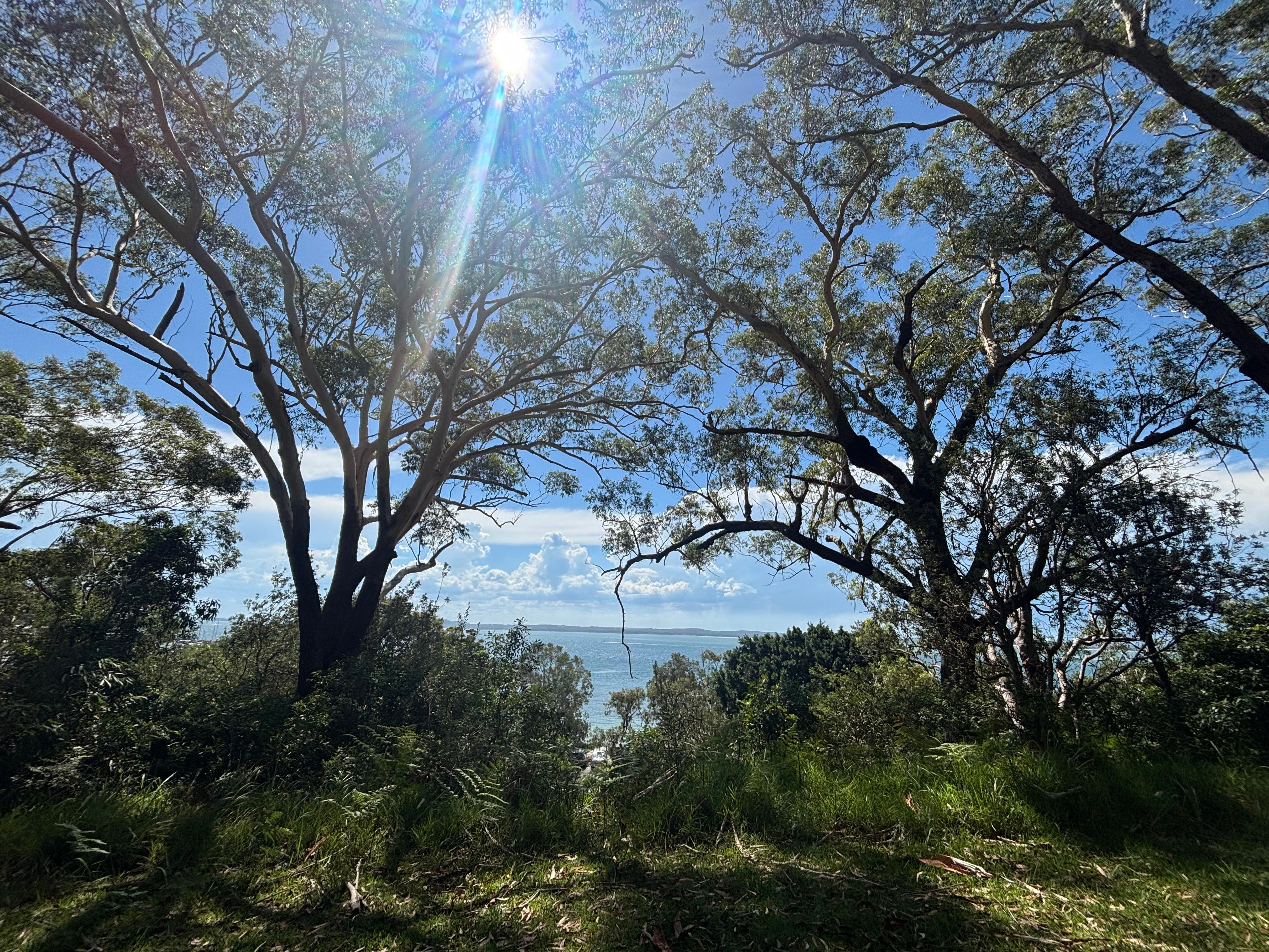 Waking distance to shops and lookouts 