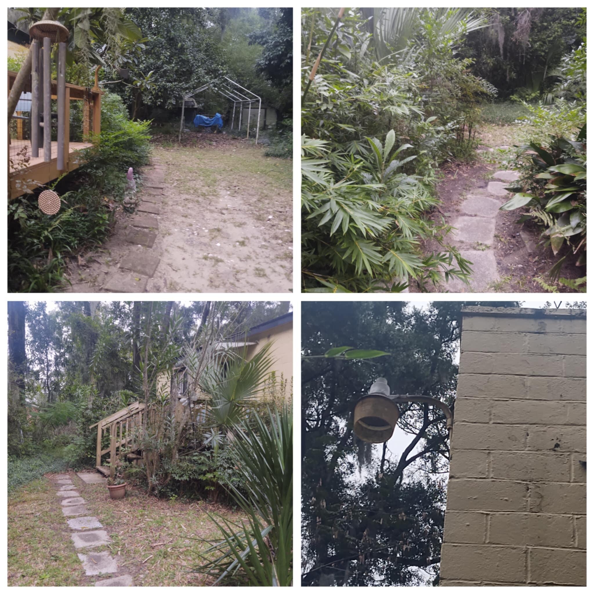 Overgrowth and broken lights