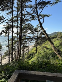 Beach view!