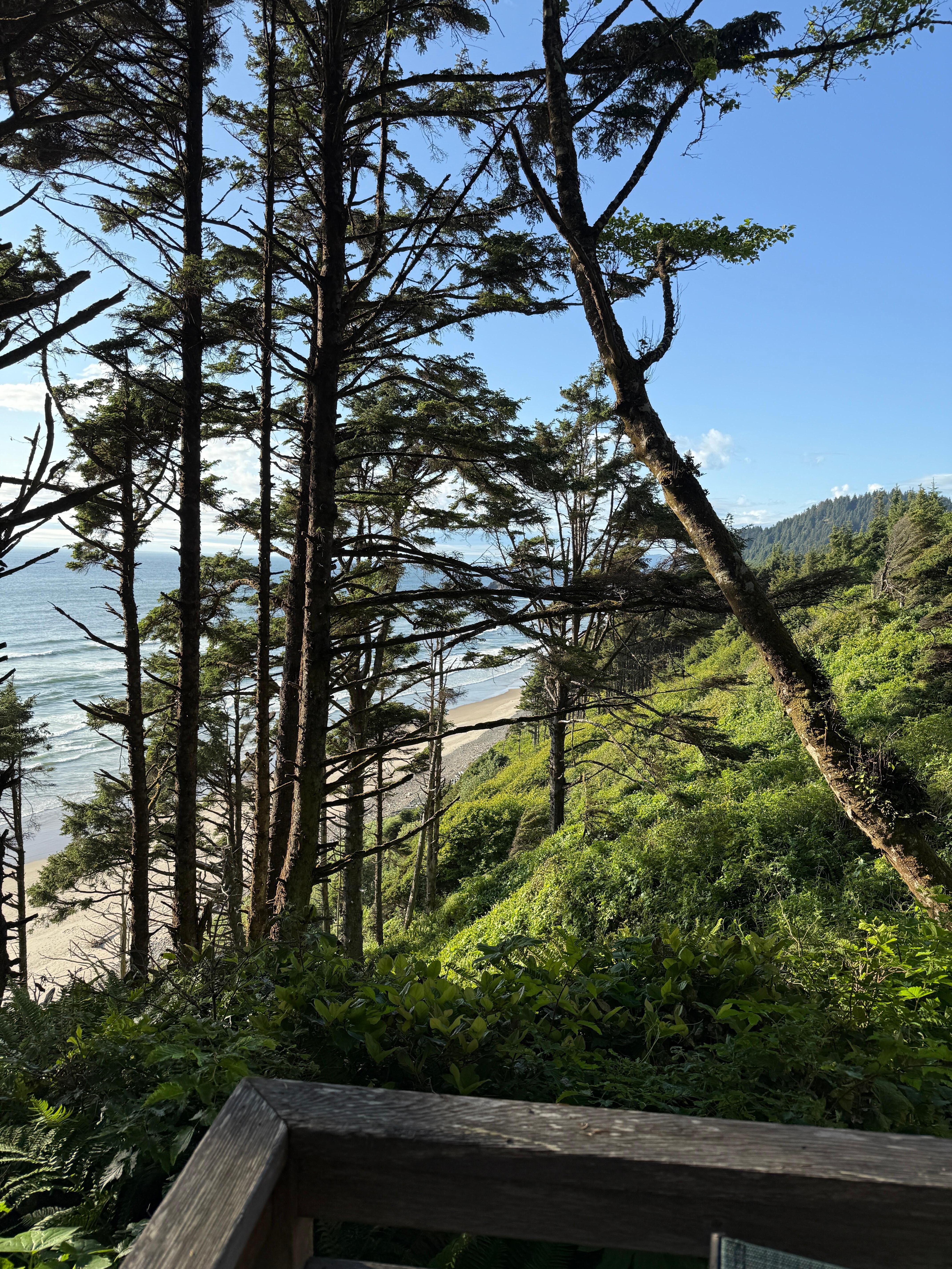 Beach view! 