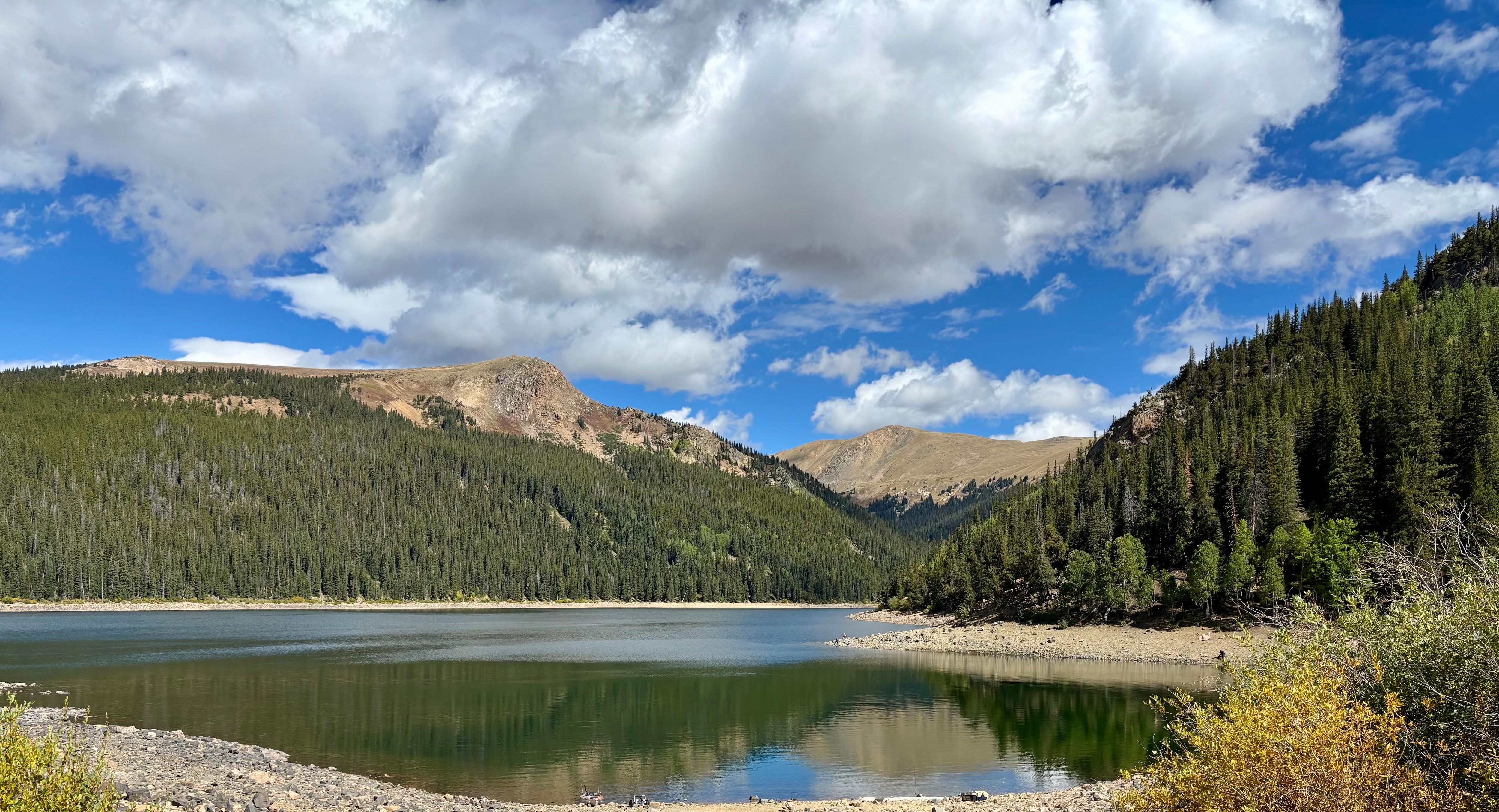 Nearby state forest, which we practically had to ourselves. 