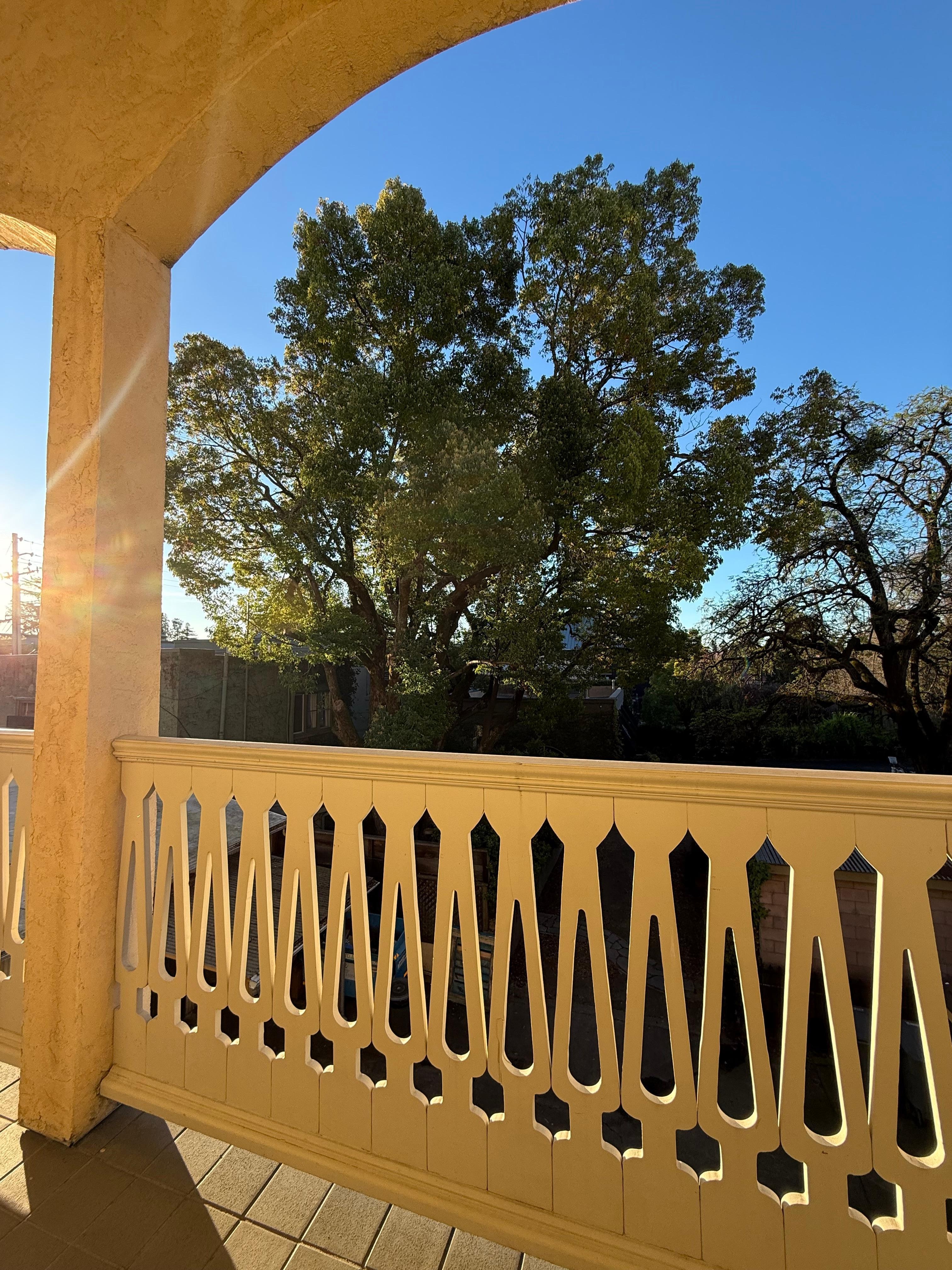 Coffee on the back porch of my room in the morning. Just perfect. 