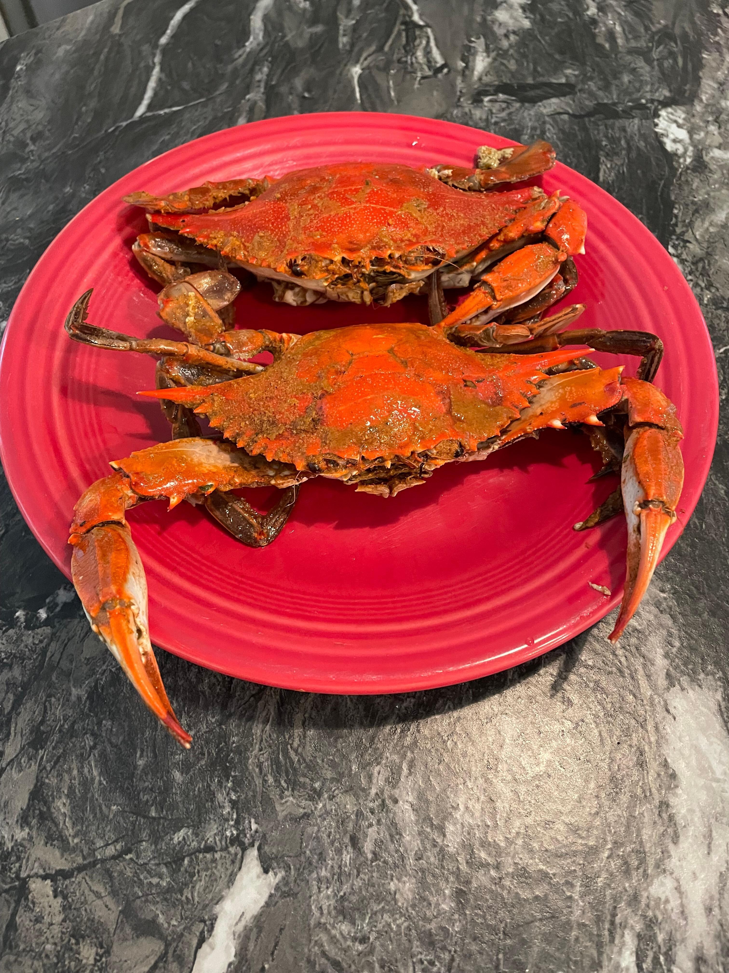 Crabs from Cranky Crabs did not disappoint!