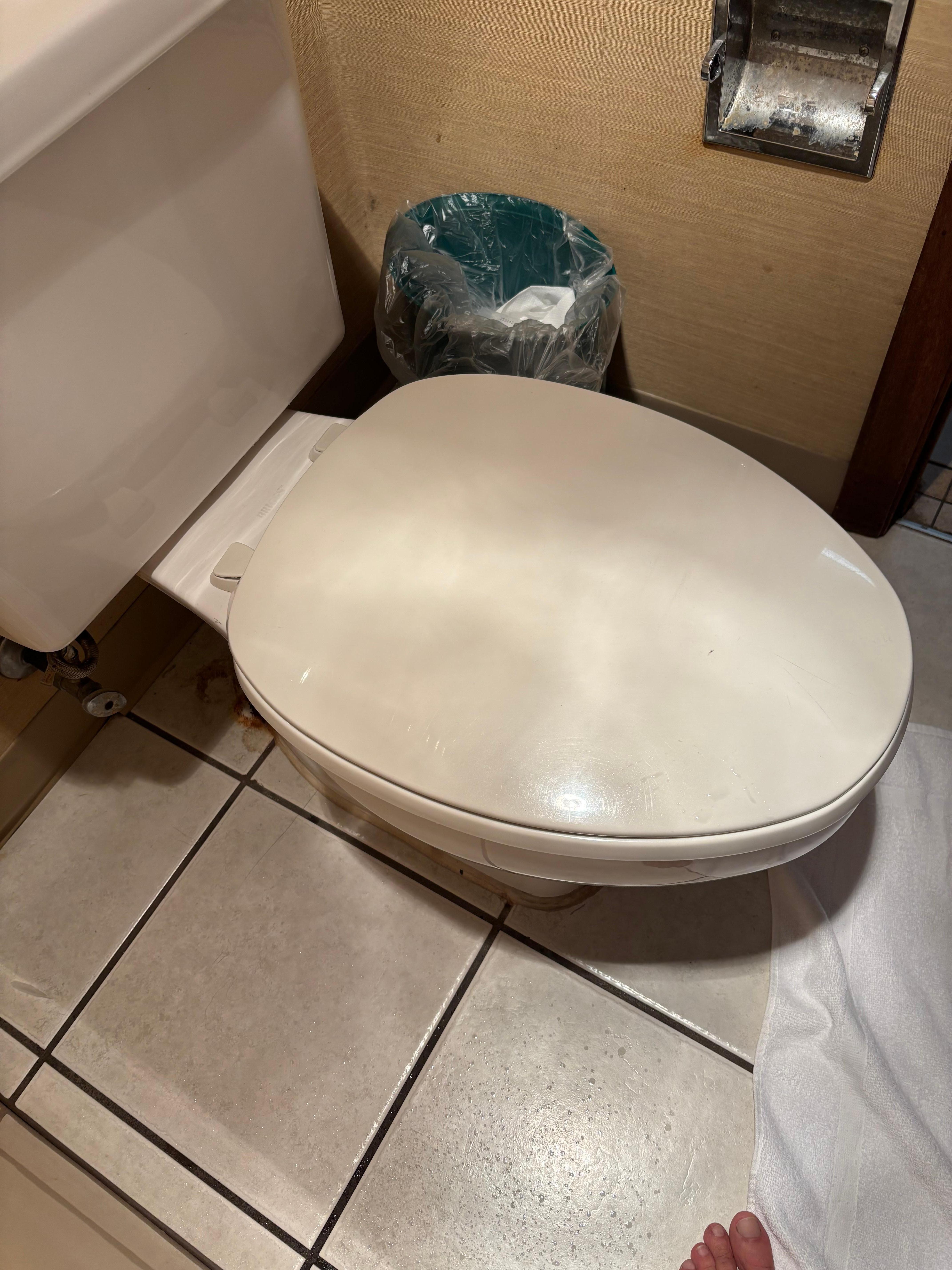 Toilet paper holder is empty 