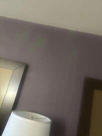 The weird substance running down the walls.