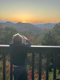 The view