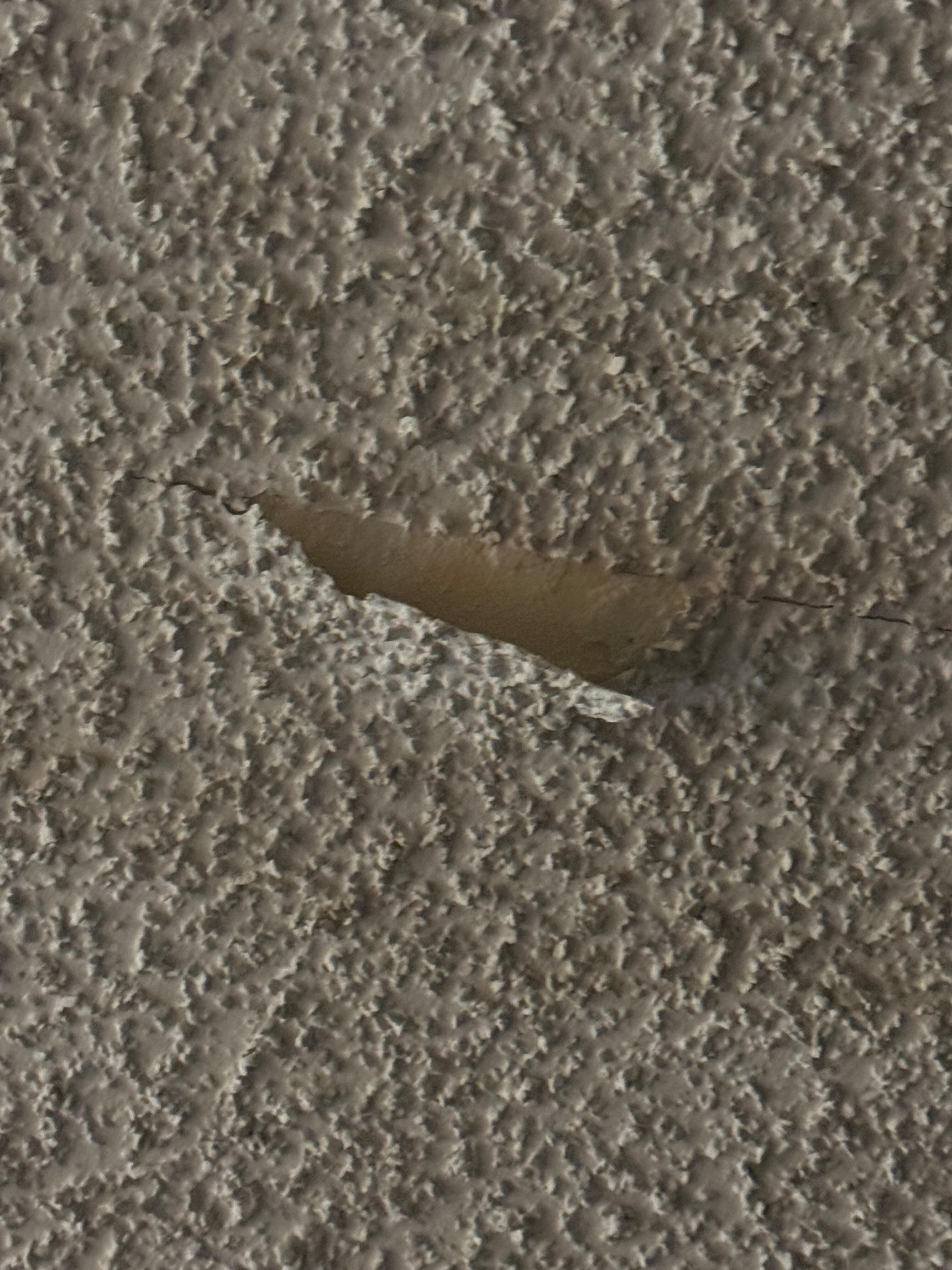 The ceiling was literally falling on us our entire stay. Asbestos anyone?!