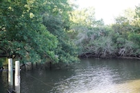 Serenity