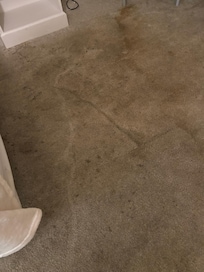 Filthy carpet