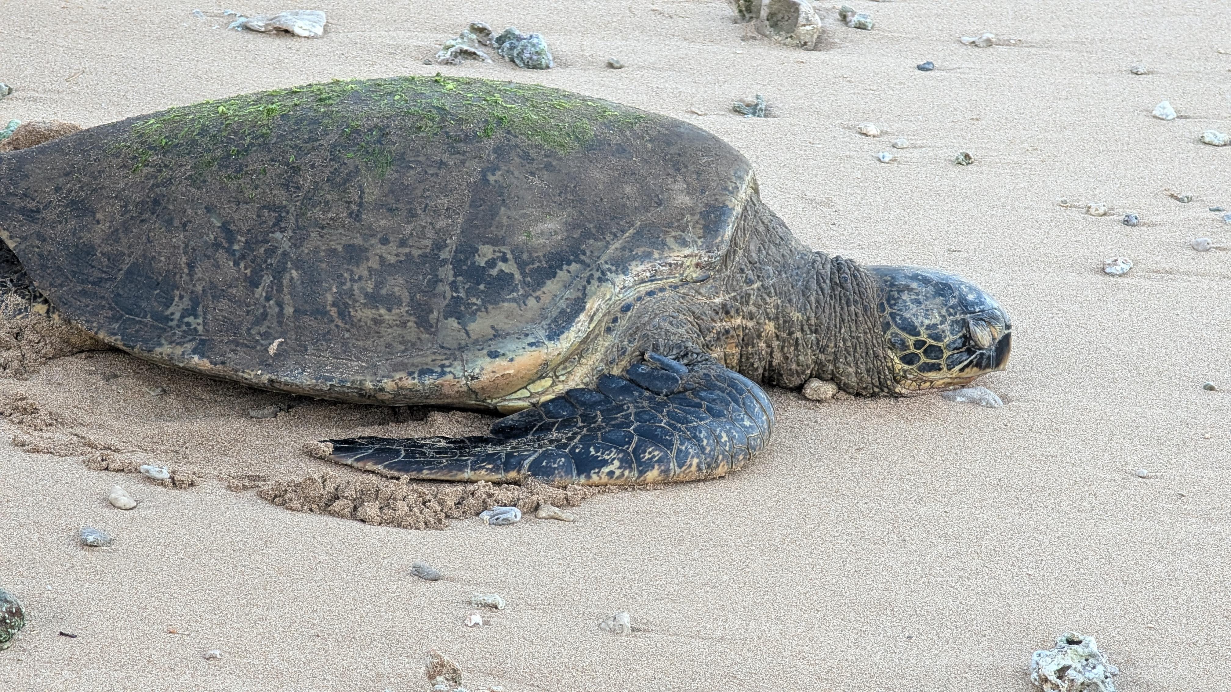 Friend during morning walk
