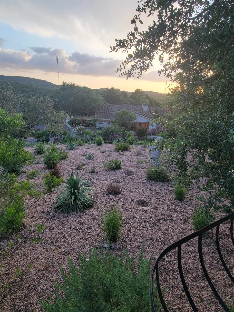 Our view from the poolside patio