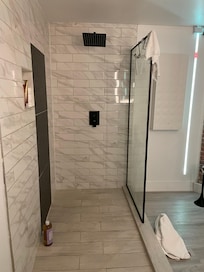 Master shower