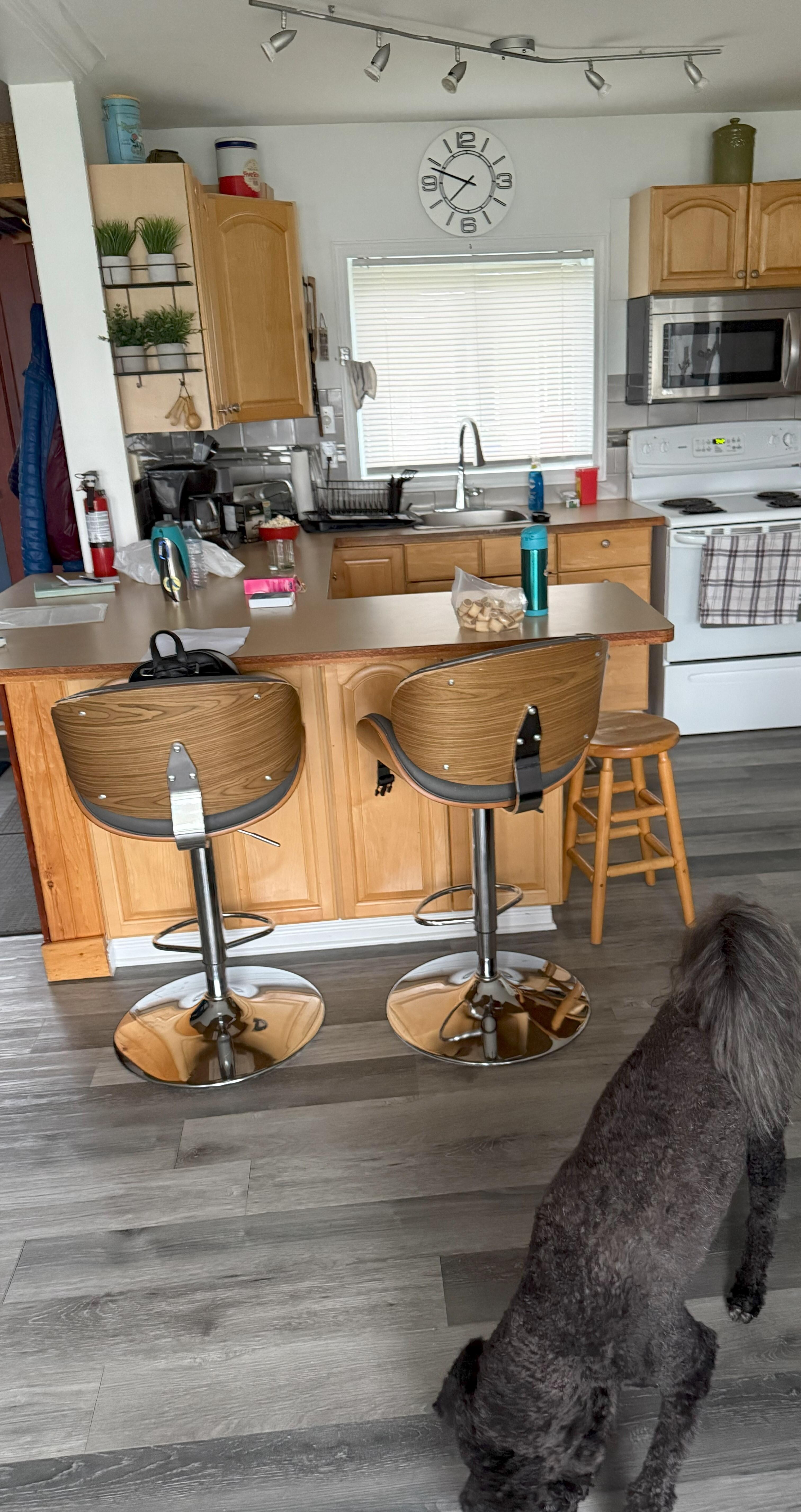 looking around cottage