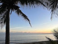 Morning views