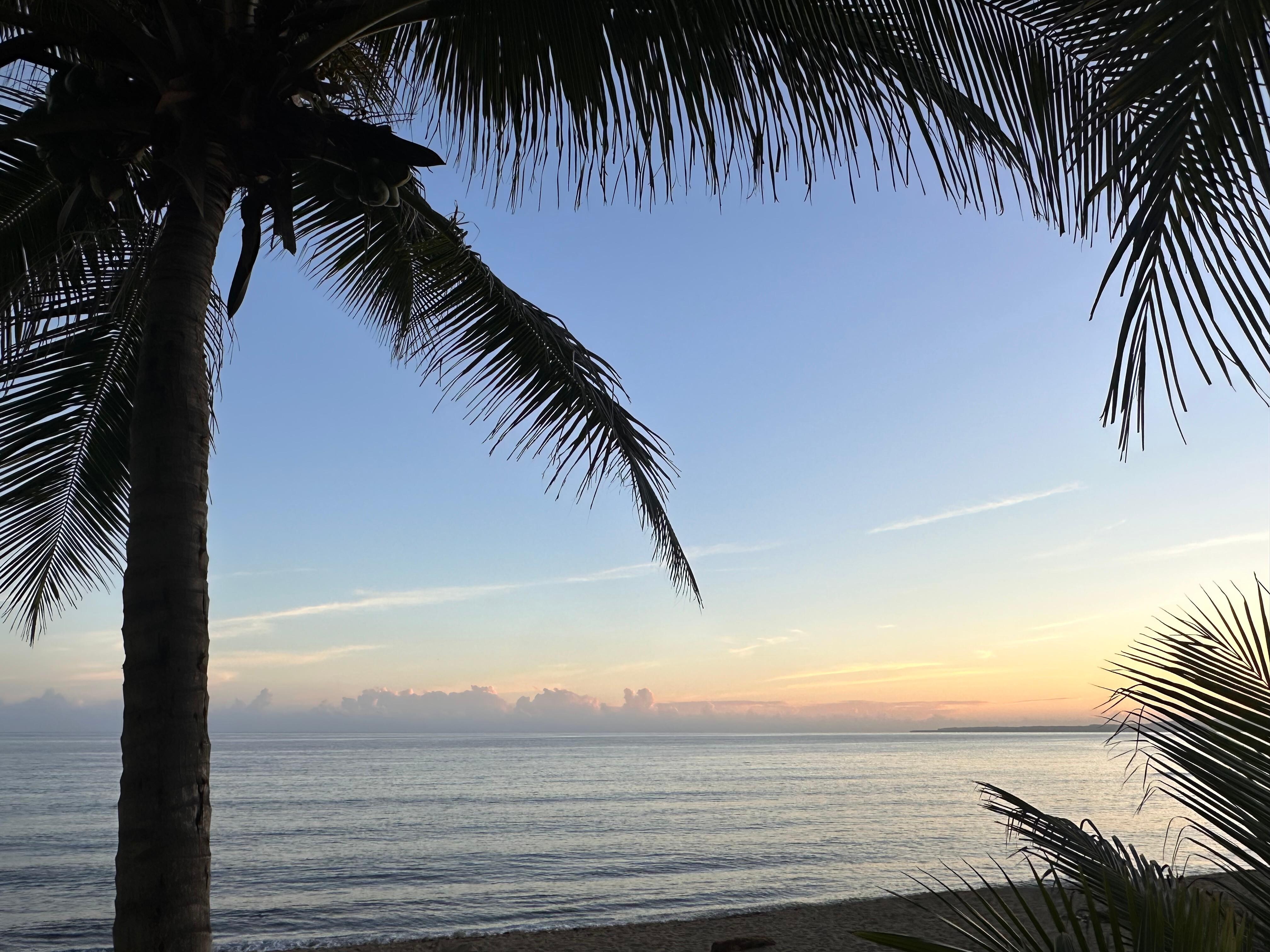 Morning views