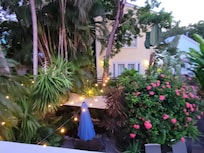 Garden view from patio