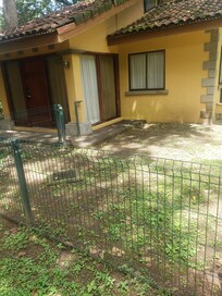 Garden view room
