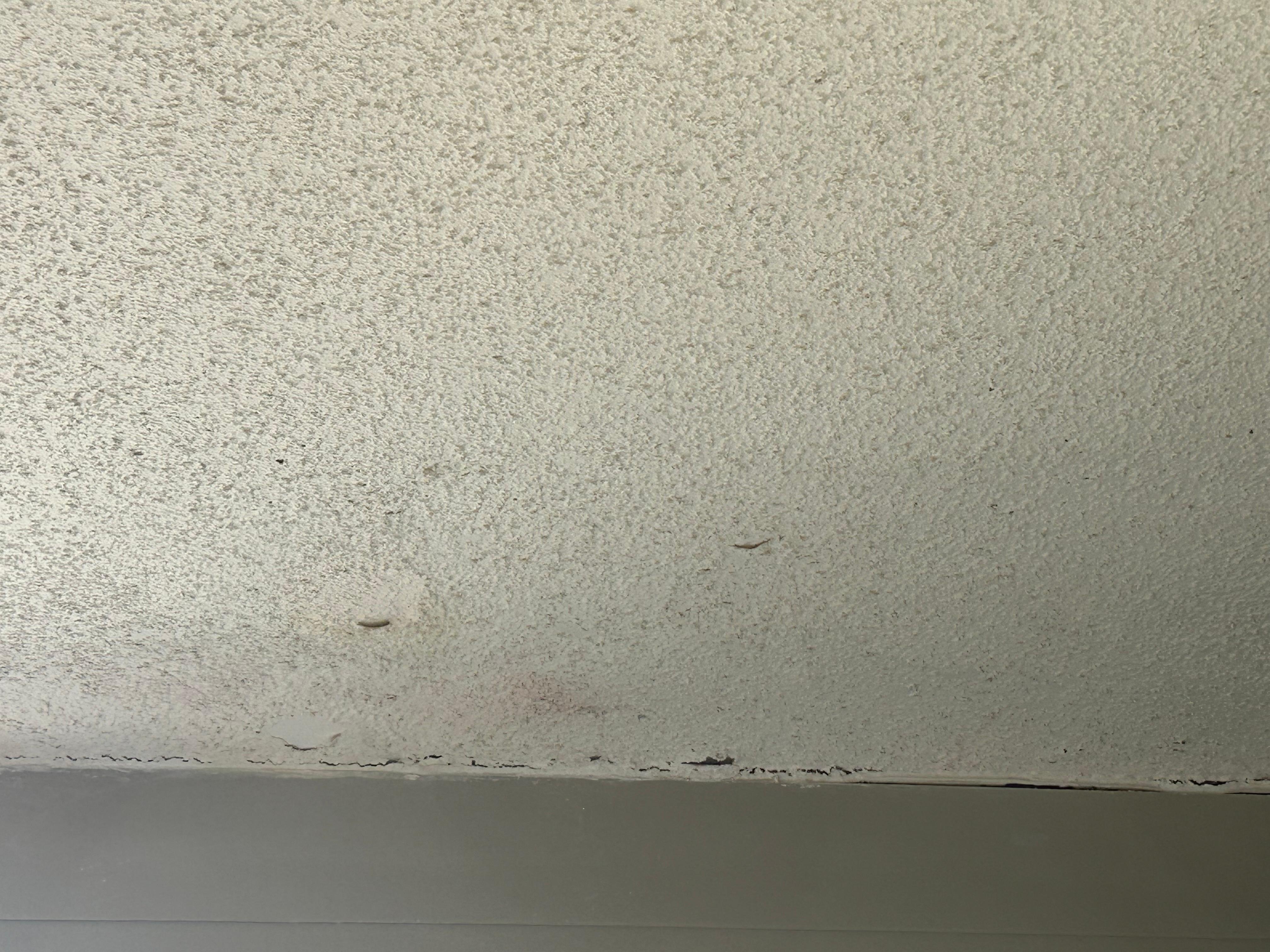 Damaged ceiling in bedroom