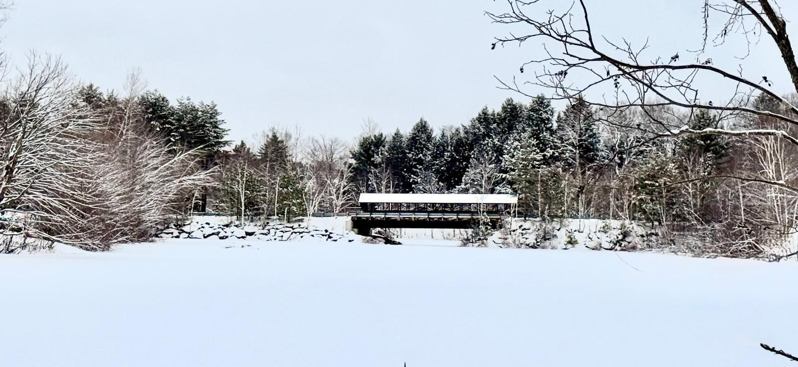 Bridge over pond nearby
