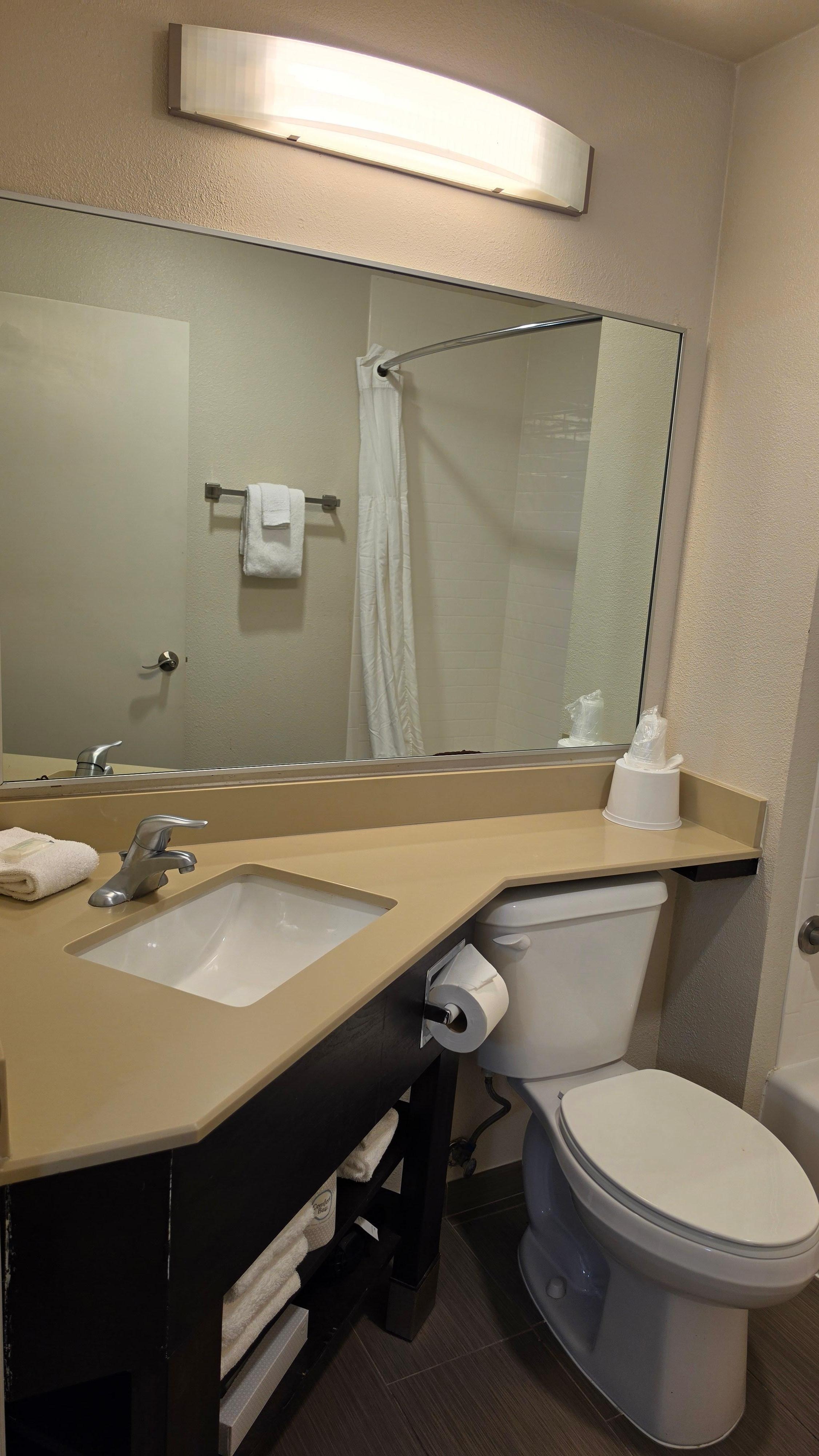 Bathroom sink and shelving