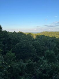 Afternoon view from property